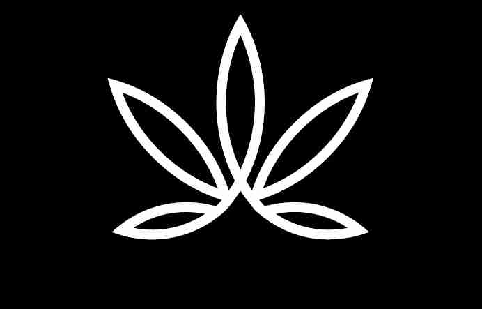 iamcafe Profile Picture