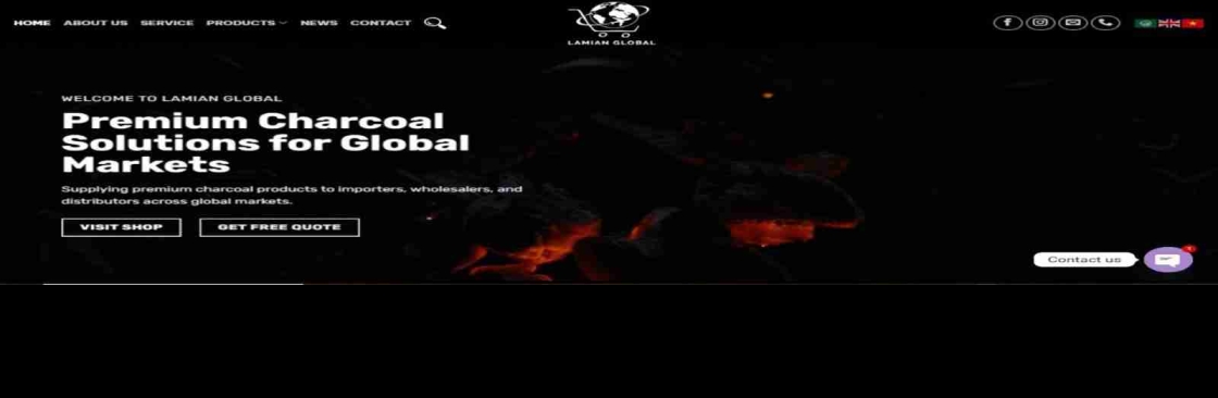 Lamian Global Cover Image