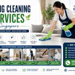 Easycleansg Sg Profile Picture