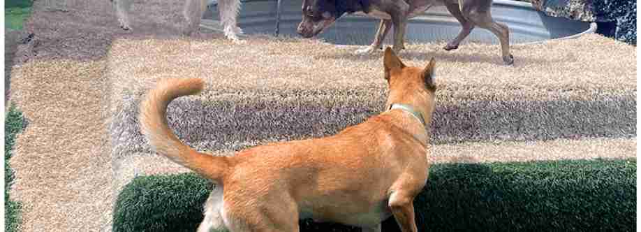 4 Paws Country Kennels LLC Cover Image