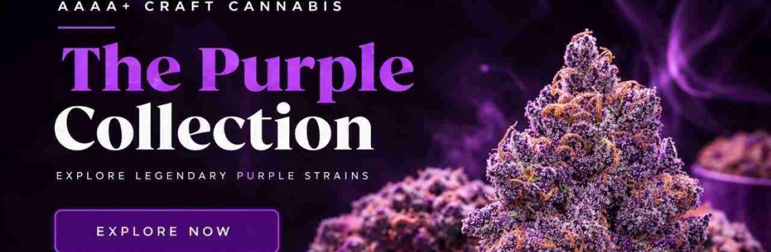 The Purple Shop Cannabis Cover Image