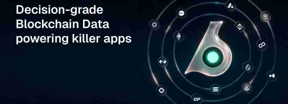 Data Birdeye Cover Image