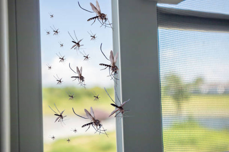 Mosquito Control Coral Springs | Southeast Florida Pest Control