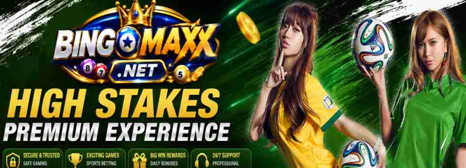 BINGOMAX Cover Image