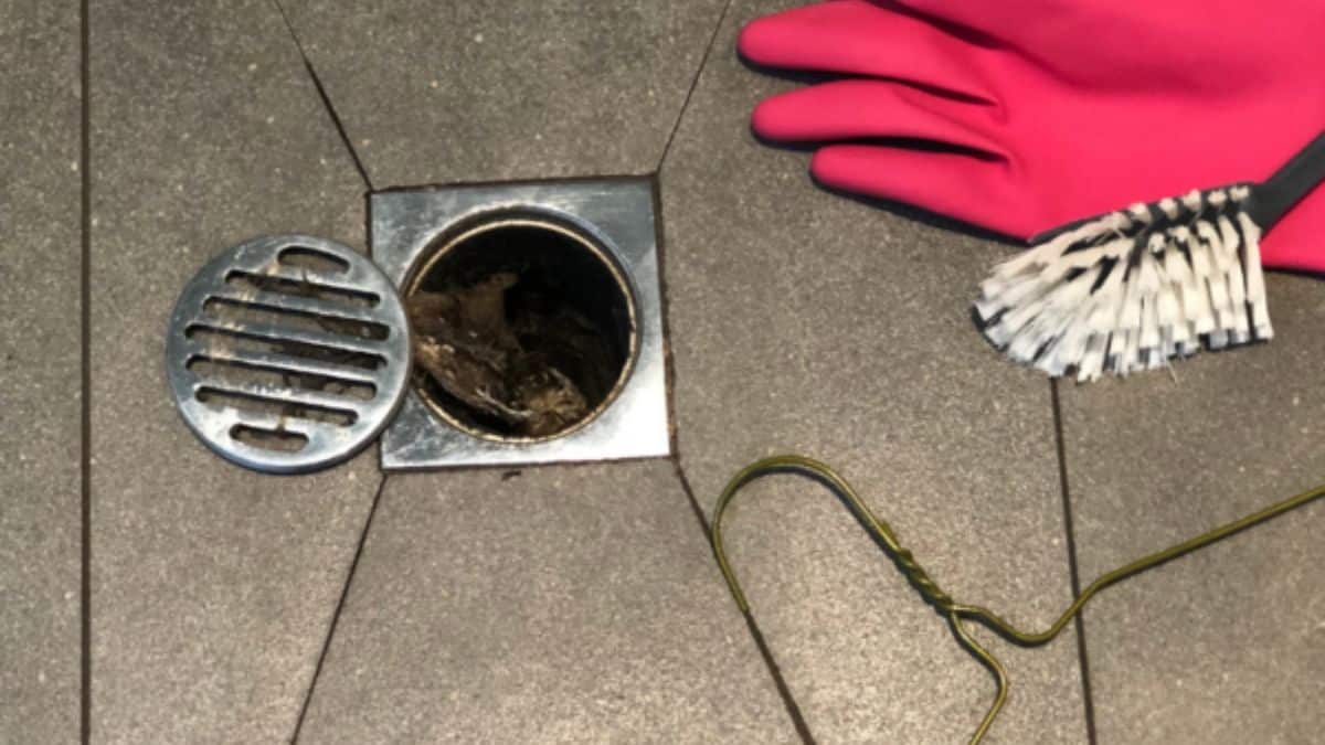 Why You Need Same-Day Drain Cleaning Service Today