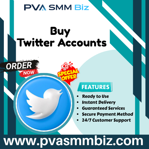 Footer - PVA SMM Biz
