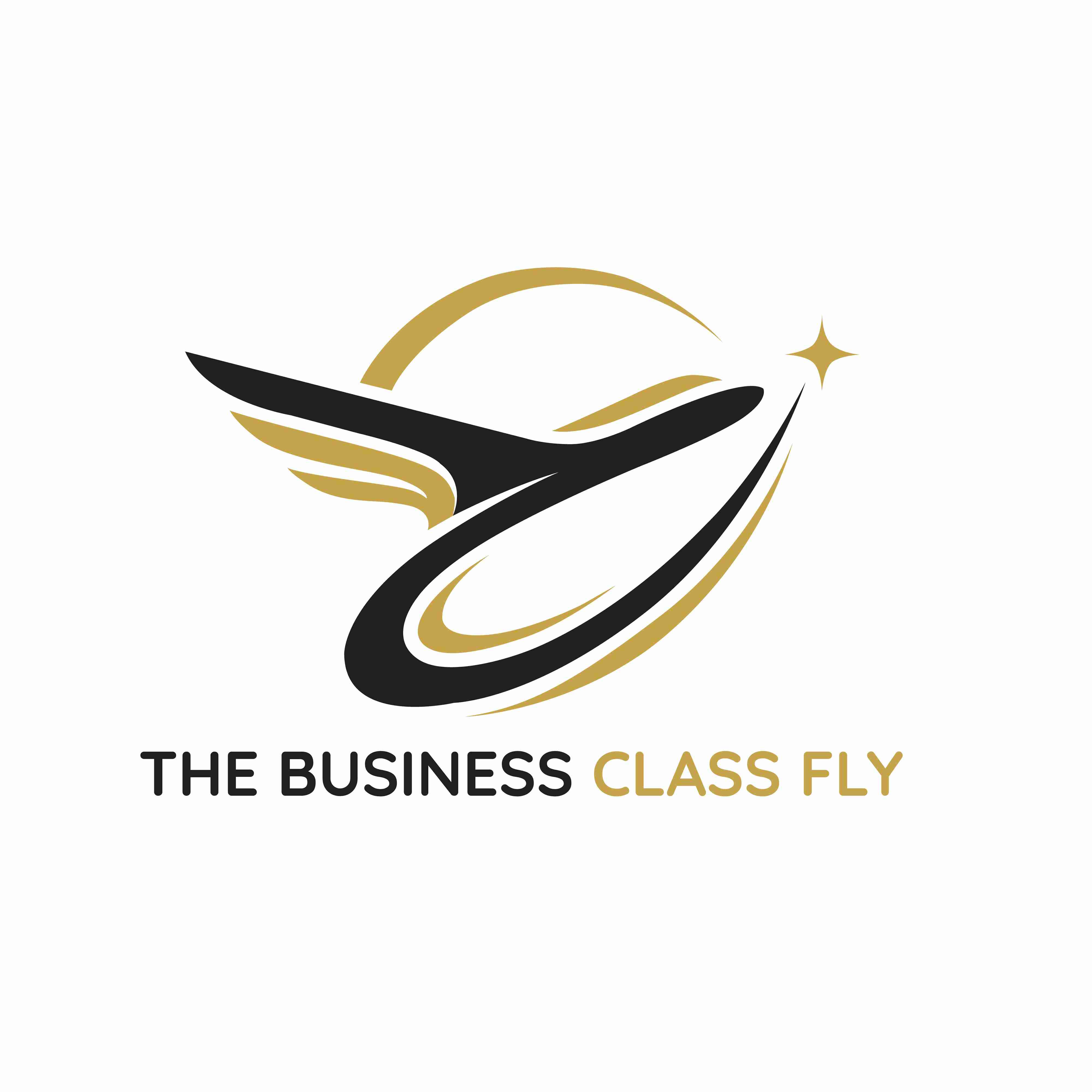 Thebusinessclassfly 07 Profile Picture