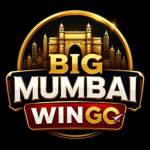 Big Mumbai WinGo Profile Picture