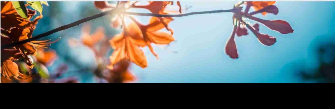 Nora Sabahat Takieddine Cover Image
