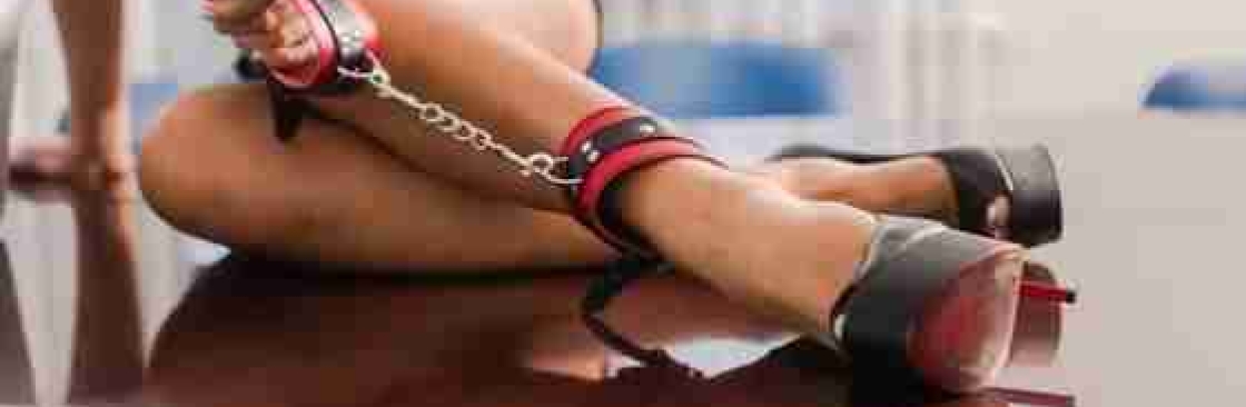 BDSMGear Guide Cover Image