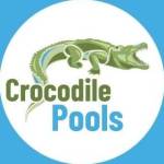 Crocodile Pools Profile Picture