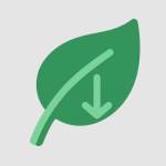 Eco Friendly Cups Profile Picture