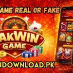 pak win game Profile Picture