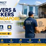 Aspect Mover Profile Picture