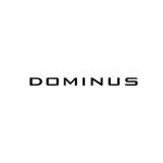 Dominus Corporation Profile Picture