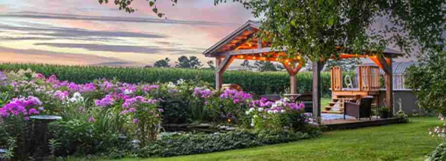 Suzanne White Real Estate Cover Image