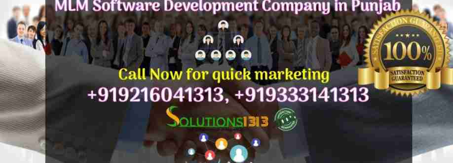 Solutions 1313 Cover Image
