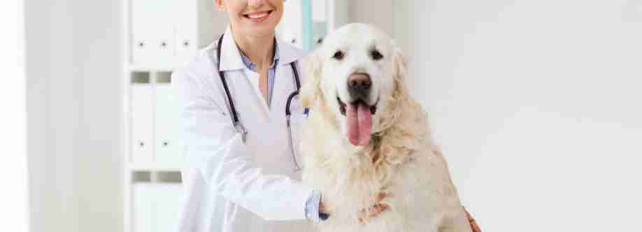 Town & Country Animal Hospital Cover Image