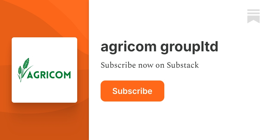 Vegetable Cooking Oil Distributor Worldwide: Reliable Bulk Supply for Global Businesses