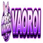vaoroitv work profile picture