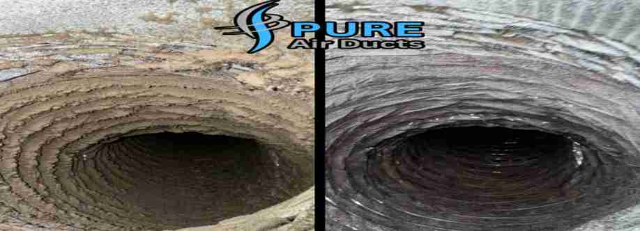 Pure Air Ducts Cover Image