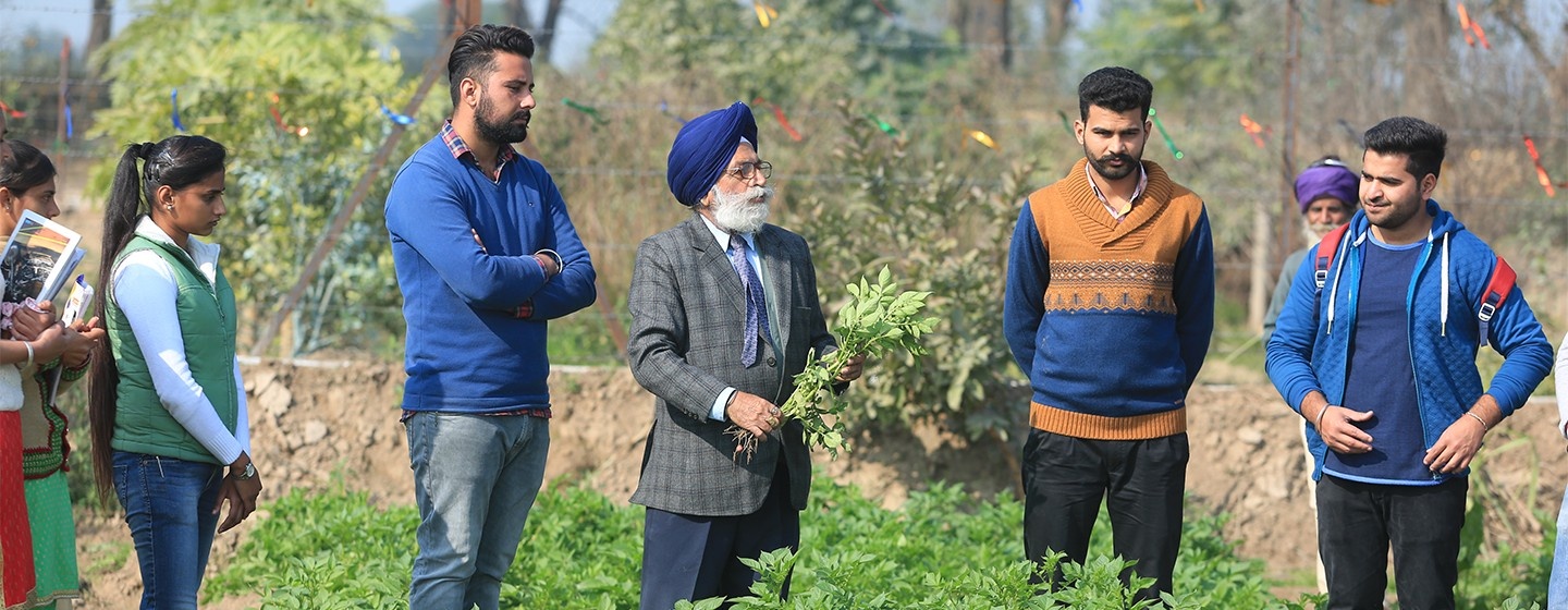Diploma in Agriculture Science (1 Year) – GKU| Best private university in Punjab