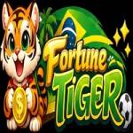 Fortune Tiger Demo Profile Picture