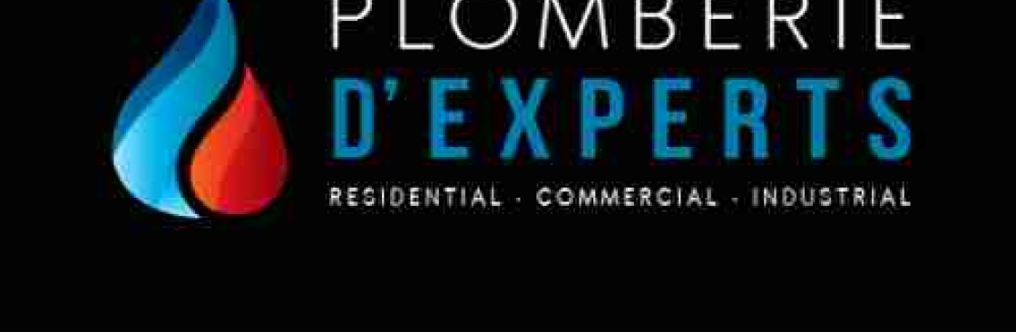 Plomberie Services D Experts Cover Image