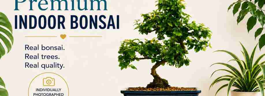 Bonsai Direct Cover Image