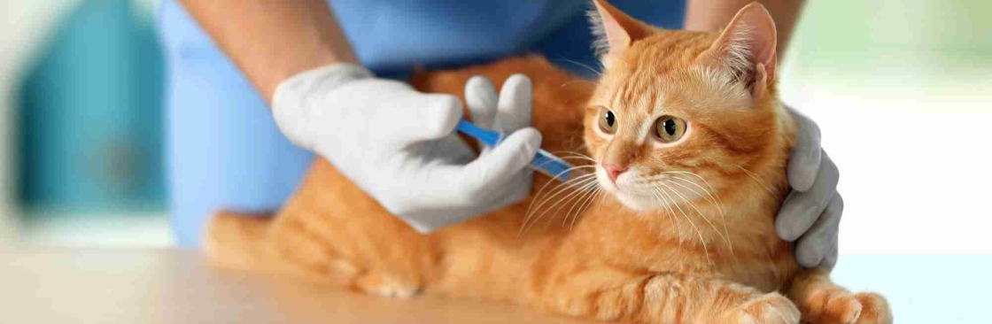 Intercity Animal Emergency Clinic Cover Image