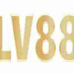 LV88 Profile Picture