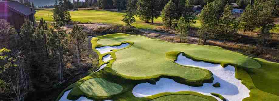 Backnine greens Cover Image