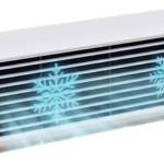 Polar Breeze Profile Picture