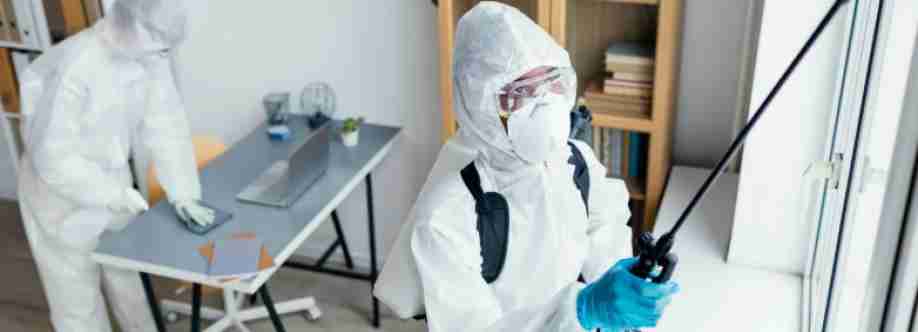 Best Mold Remediation Boca Raton Cover Image