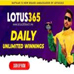 Lotus365exch Profile Picture