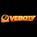 vebotv work Profile Picture