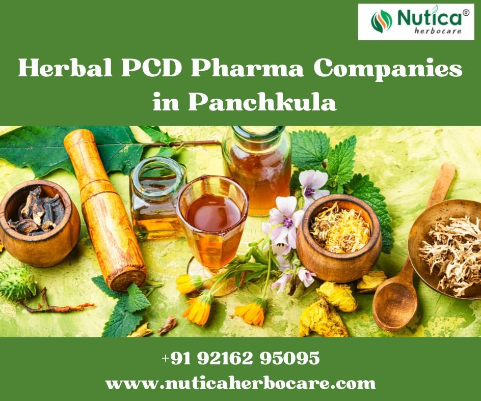 Ayurvedic PCD Pharma Company in Panchkula