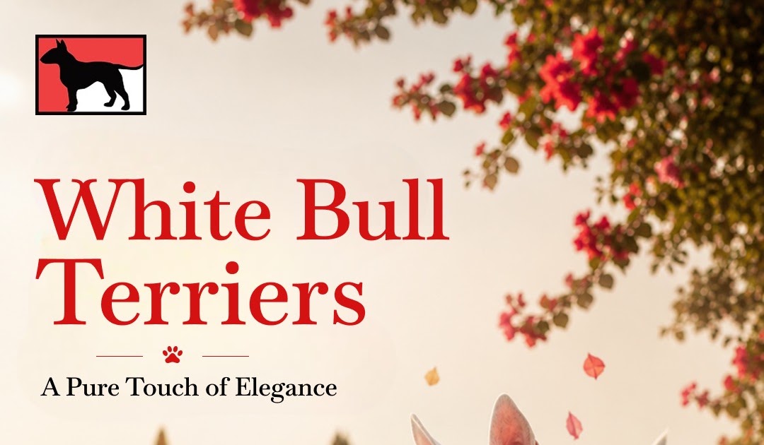 How Do Brindle Bull Terriers Stand Out as Family Pets?