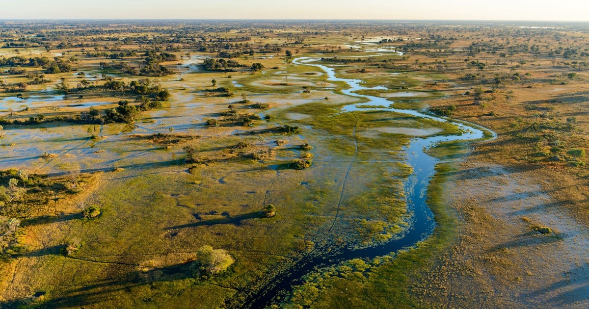 Luxury Private Safaris & Cape Town Tours | Beyond Africa