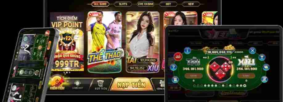 Net Win Cover Image
