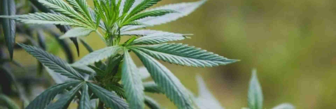 420 Accounting Services Cover Image