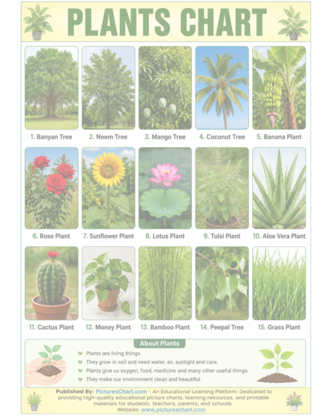 Plants Pictures Chart - ImageOss - Free image storage
