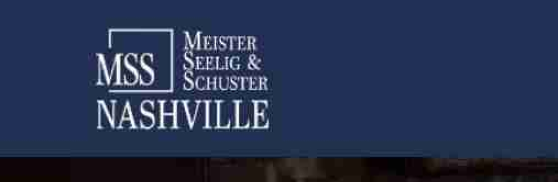 criminal defense lawyer nashville Cover Image