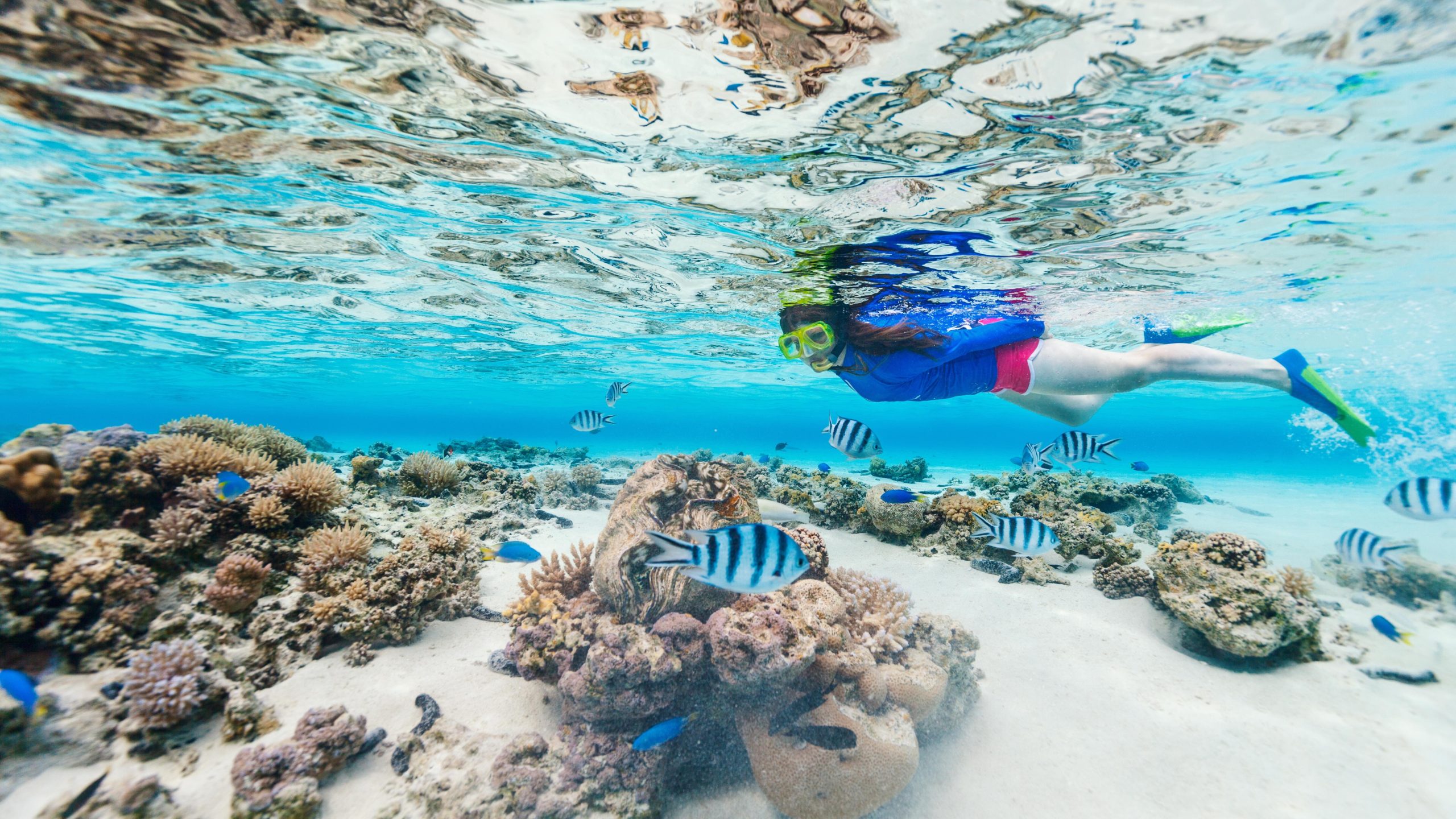 City Tour Muscat & Muscat Trips | Full-Day Muscat Tour with Octopus Oman