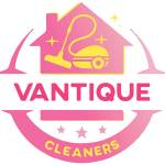 vantiquecleaners Profile Picture