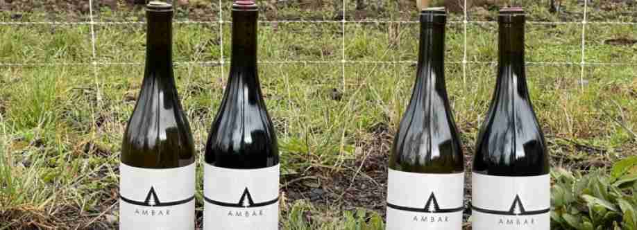 Ambar Estate Cover Image
