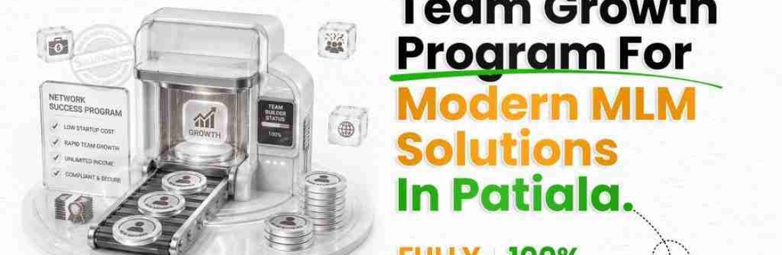 Solutions 1313 Cover Image