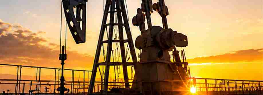 DIC OIL TOOLS Cover Image