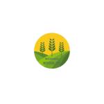 West Palm Beach Artificial Turf Profile Picture