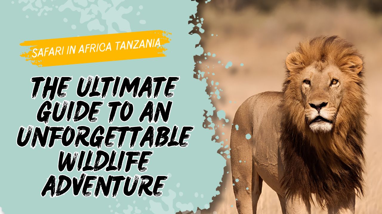 Safari in Africa Tanzania: The Ultimate Guide to an Unforgettable Wildlife Adventure - Romaric Tour Guide